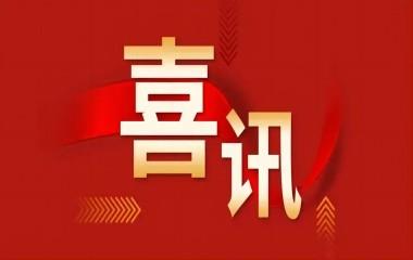 遠東電纜（宜賓）再獲桂冠！