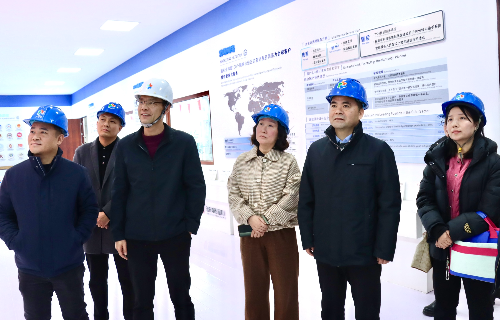 陽(yáng)光電源股份、宜賓智能制造行業(yè)協(xié)會(huì)、宜賓安徽商會(huì)調(diào)研遠(yuǎn)東電纜（宜賓）