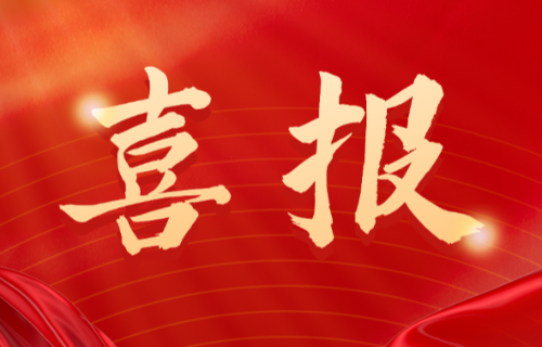 喜報(bào)！遠(yuǎn)東電纜（宜賓）胡清平榮登2025年第一批擬認(rèn)定主導(dǎo)產(chǎn)業(yè)企業(yè)人才名單